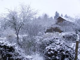 Helvetia Winter Scenes