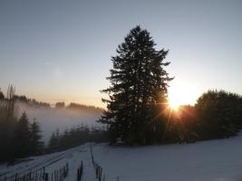 Helvetia Winter Scenes