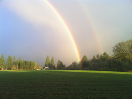 Skies over Helvetia