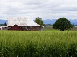 Historic Helvetia Barns