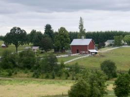 Historic Helvetia Barns