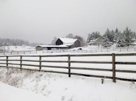 Helvetia Winter Scenes