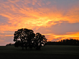 Skies over Helvetia